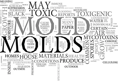 Mycotoxins & Mold Exposure: Insights from a Top Mold Doctor in Boca Raton