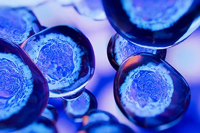 Stem Cell Therapy for Joint and Orthopedic Conditions Boca Raton FL
